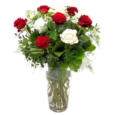 Red & White Roses for Home or Office